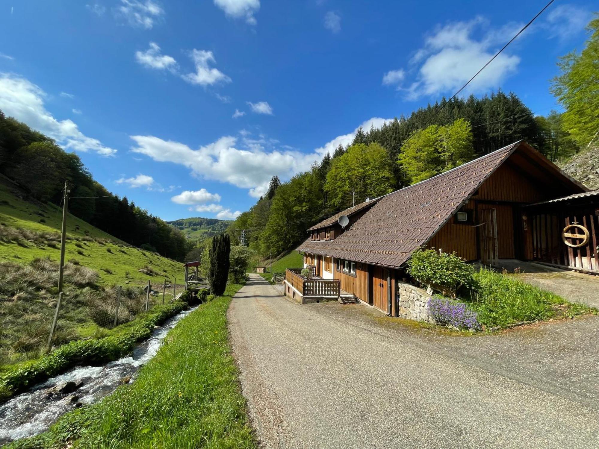 Bauernhaus Im Münstertal Exteriör bild