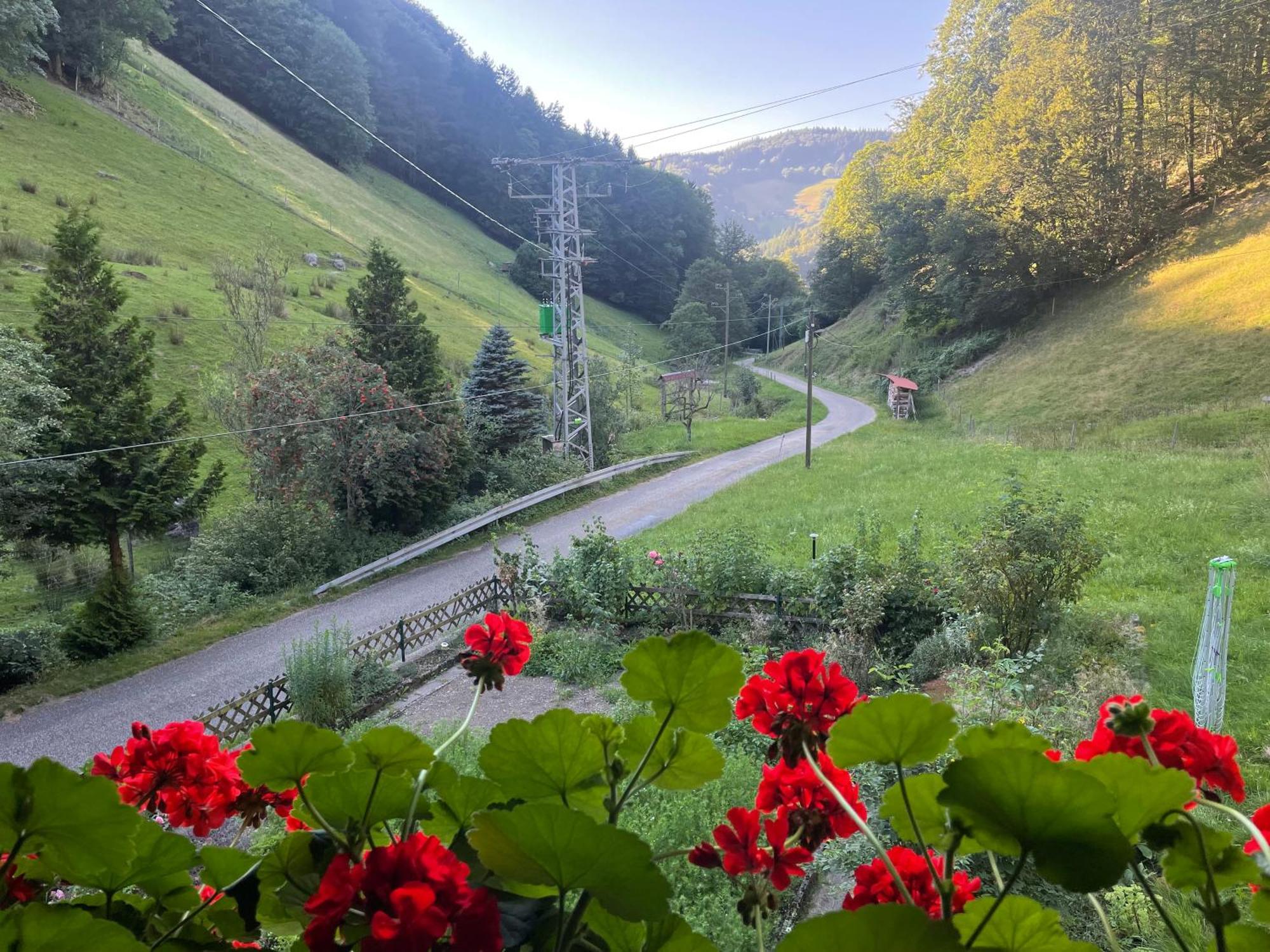 Bauernhaus Im Münstertal Exteriör bild